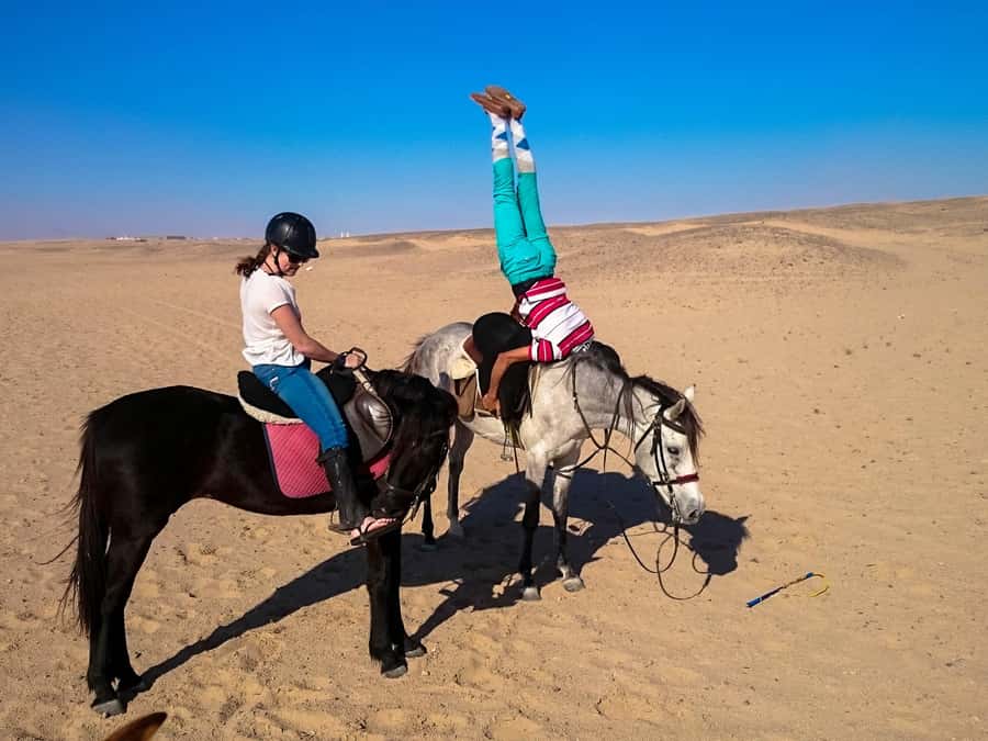 Hurghada: Arabian Desert and Sea Horseback Adventure - Along the Red Sea Coast: Why This Part Changes Everything