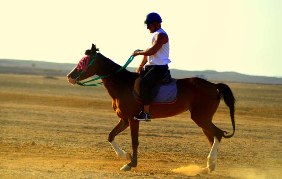 Hurghada: Arabian Desert and Sea Horseback Adventure - Price and Value: Is This Worth $20?