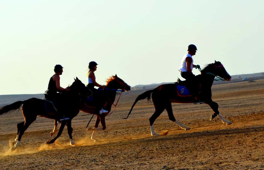 Hurghada: Arabian Desert and Sea Horseback Adventure - Who Should Book, and Who Should Skip