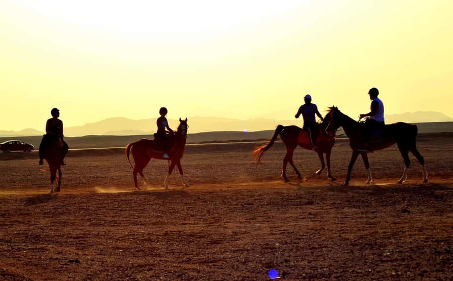 Hurghada: Arabian Desert and Sea Horseback Adventure - Final Call: Should You Book This Horse Ride in Hurghada?