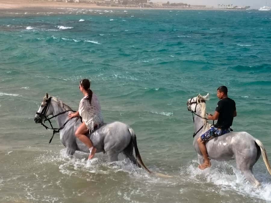 Hurghada: Arabian Desert and Sea Horseback Adventure - FAQ