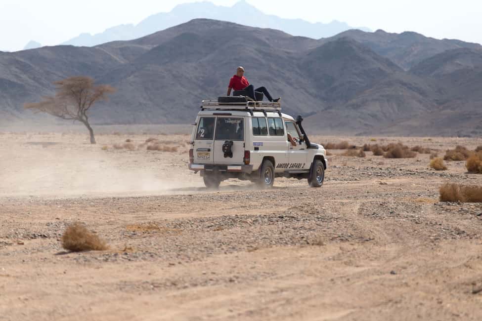 Hurghada: ATV Quad, Jeep and Buggy Safari with BBQ Dinner - The big idea: why this mix of jeep, quad, and buggy works