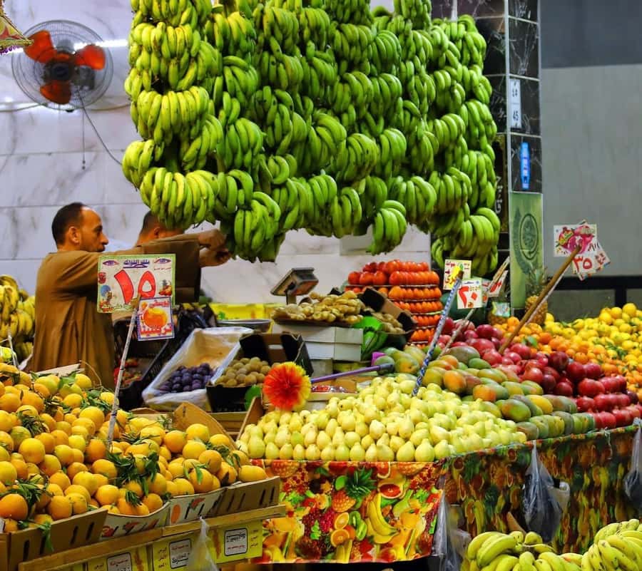 Hurghada: City Guided Tour with Local Market Stop - Hurghada in 3 Hours: From Marina to Old Town
