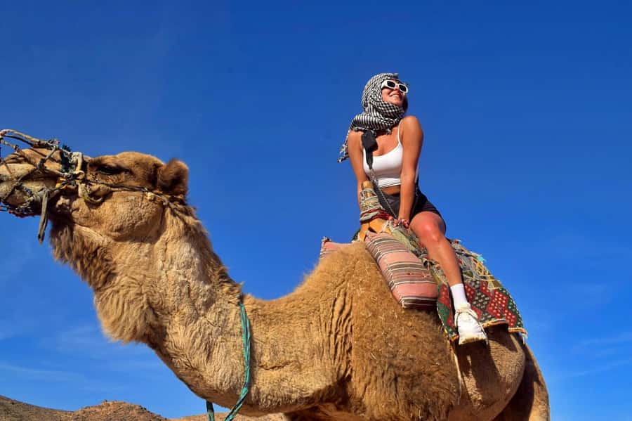 Hurghada: Desert Quad, Bedouin Village, and Camel Ride Tour - Hurghada quad, Bedouin village, and camel ride: what you’re buying for $22