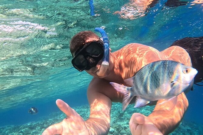 Hurghada Diving Adventure one Day with two Dives Boat Trip - First stop: Aquarius at the Marriott Beach Resort