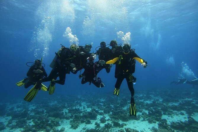 Hurghada Diving Adventure one Day with two Dives Boat Trip - Who this day works best for