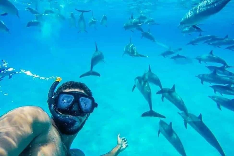 Hurghada: Dolphin & Coral Reef Snorkeling Tour with Lunch - Key points before you go