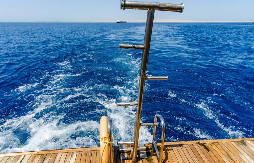 Hurghada: Dolphin & Coral Reef Snorkeling Tour with Lunch - Onboard Lunch and Boat Time: How the Day Holds Together
