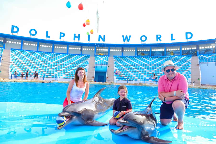 Hurghada: Dolphin World Show with Walruses and Pickup - The Dolphin & Seal program: dolphins, sea lions, and a walrus on stage