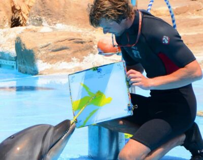 Hurghada: Dolphin World Show with Walruses and Pickup - Hotel pickup and skip-the-line entry: how the day gets easier