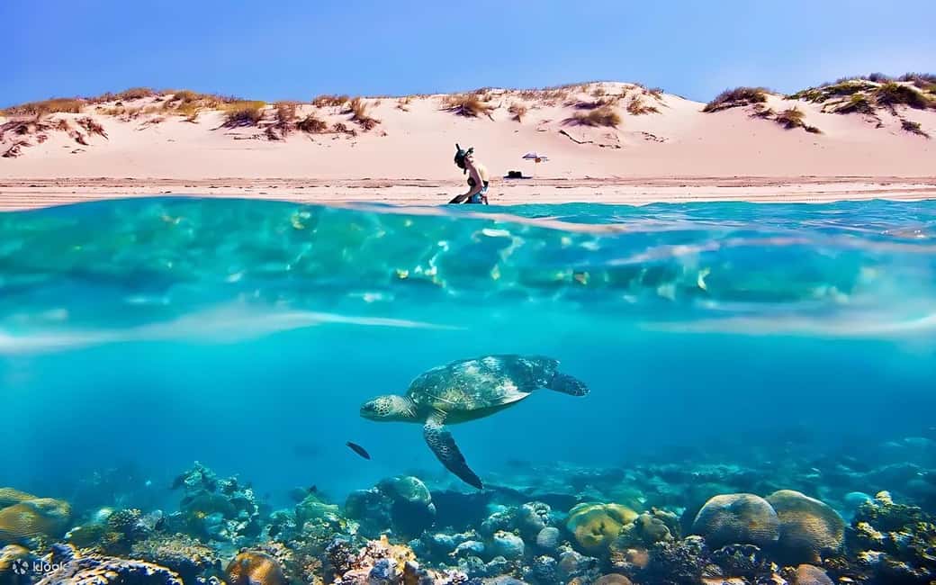 Hurghada: Giftun Island with breakfast, lunch & Water Sports - Orange Bay Island day trip: what you’re really signing up for