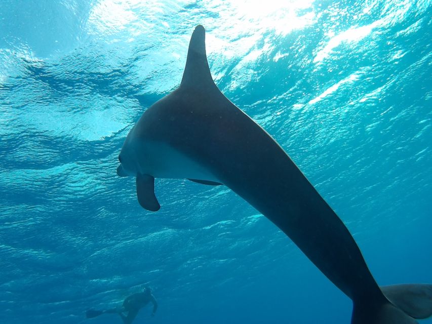 Hurghada: Luxury Orange Bay w/Snorkeling, Massage and Diving - Lunch and Snacks: What’s Actually on the Menu