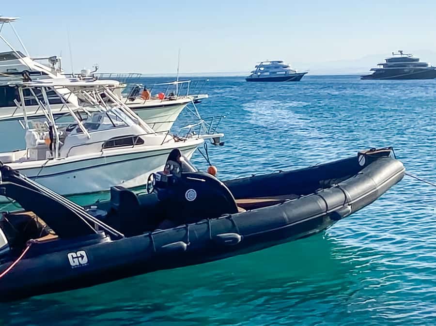 Hurghada: Orange Bay & Magawish Island Speedboat with Lunch - Key moments that make this tour worth it