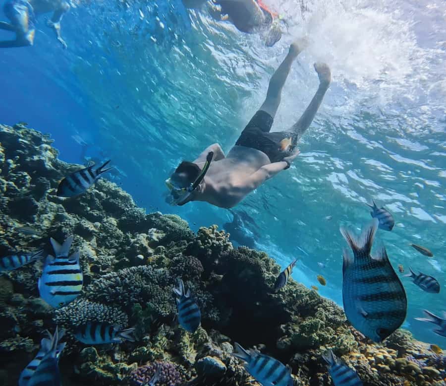 Hurghada: Premium Orange Island Cruise with Lunch & Transfer - Orange Bay in Plain English: how the 8 hours really flow