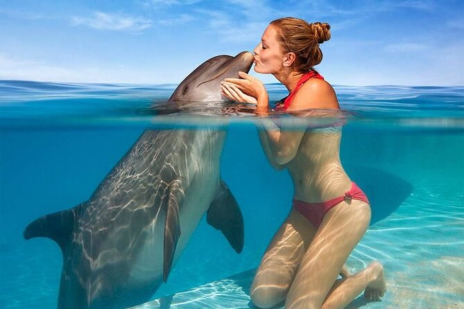 Hurghada: Private 4 Hours Speedboat Dolphin House Snorkling Tour - Price and what you truly get for $65 in Hurghada