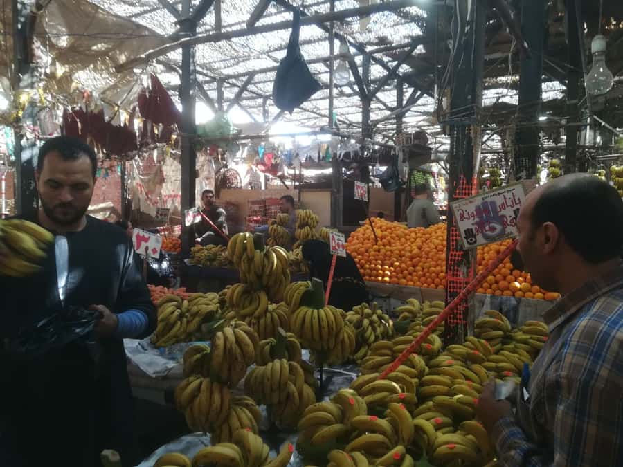 Hurghada: Private Guide City Tour & Shopping Stop - Key Highlights Worth Planning For