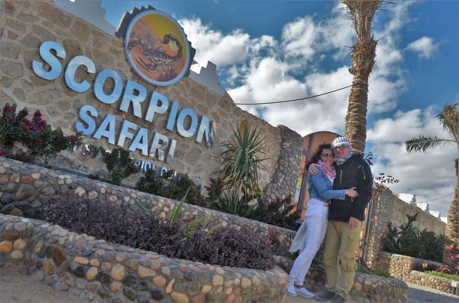 Hurghada: Quad and Buggy Safari with Dinner and Show - The ride-to-sunset rhythm: rooftop views, then dinner