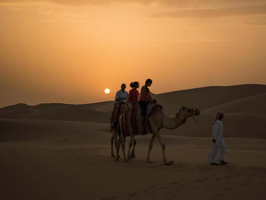 Hurghada: Quad Bike, Camel, Show, Dinner, & Stargazing Trip - Key Points to Know Before You Go