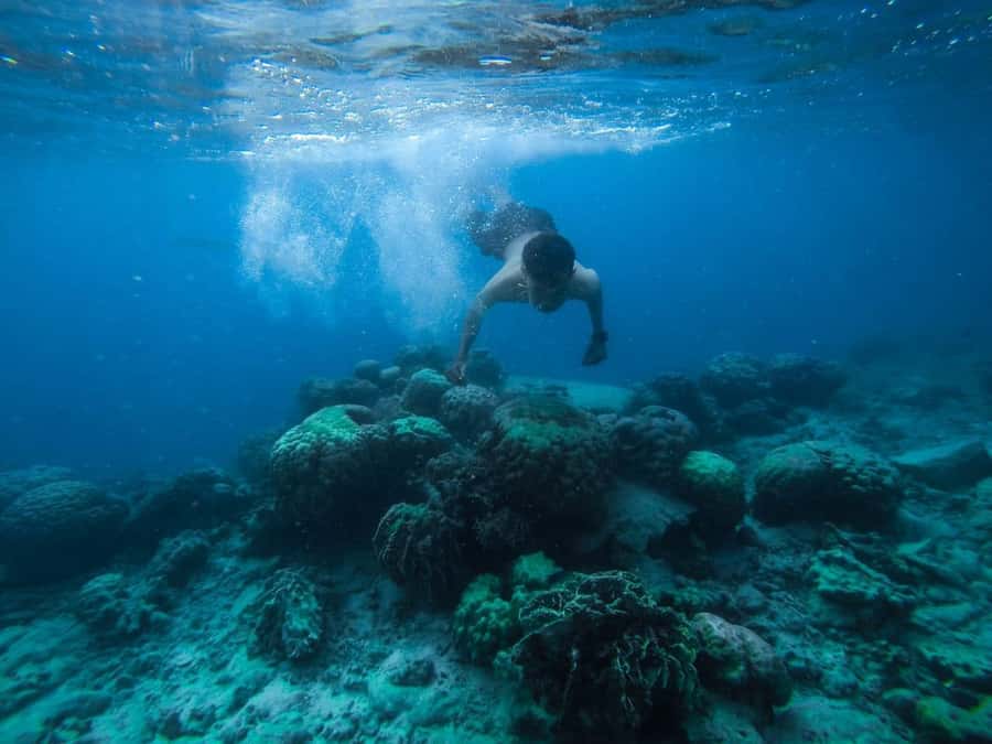 Hurghada: Royal Orange Bay with Massage, Snorkeling & Lunch - Key highlights I’d plan around