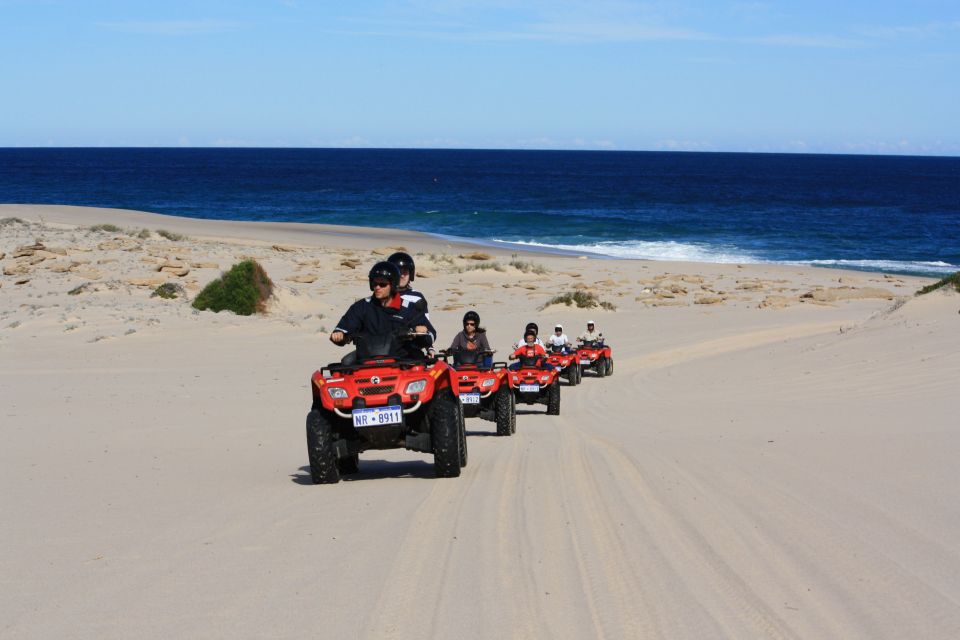 Hurghada: Sea and Mountains Quad or Buggy Family Tour - Camel Ride Across the Sand: When the Pace Gets Calm