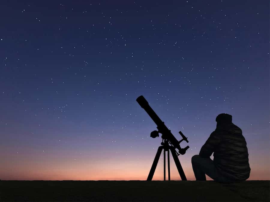 Hurghada: Sea & Desert Camel Ride w/Dinner, Show, Stargazing - Key things to know before you go