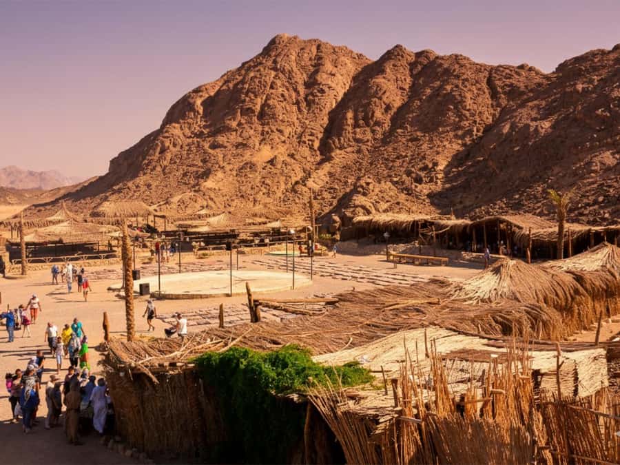 Hurghada: Sea & Desert Camel Ride w/Dinner, Show, Stargazing - Hurghada Camel Riding: Why This Desert-Red Sea Mix Feels Special