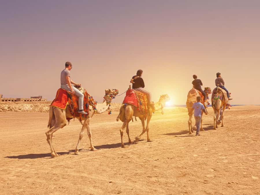 Hurghada: Sea & Desert Camel Ride w/Dinner, Show, Stargazing - Pickup and Transfer Reality: What It Means for Your Day