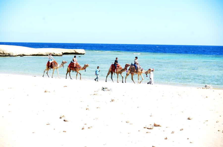 Hurghada: Sea & Desert Camel Ride w/Dinner, Show, Stargazing - Mounting Up: Safety Briefing, Helmets, and Grouping That Helps