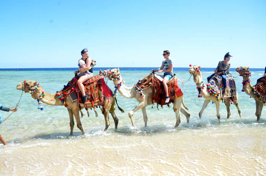 Hurghada: Sea & Desert Camel Ride w/Dinner, Show, Stargazing - Sunset Dinner, Dance Show, and Stargazing: The Best Part of the Full Tour