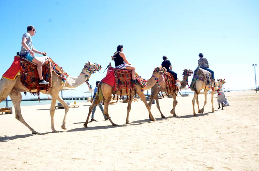 Hurghada: Sea & Desert Camel Ride w/Dinner, Show, Stargazing - Price and Value: Why $26 Often Feels Like a Deal