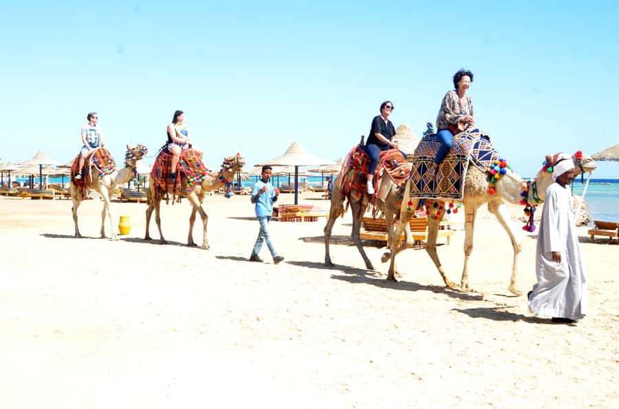 Hurghada: Sea & Desert Camel Ride w/Dinner, Show, Stargazing - Comfort and Packing: What to Bring (and What to Skip)