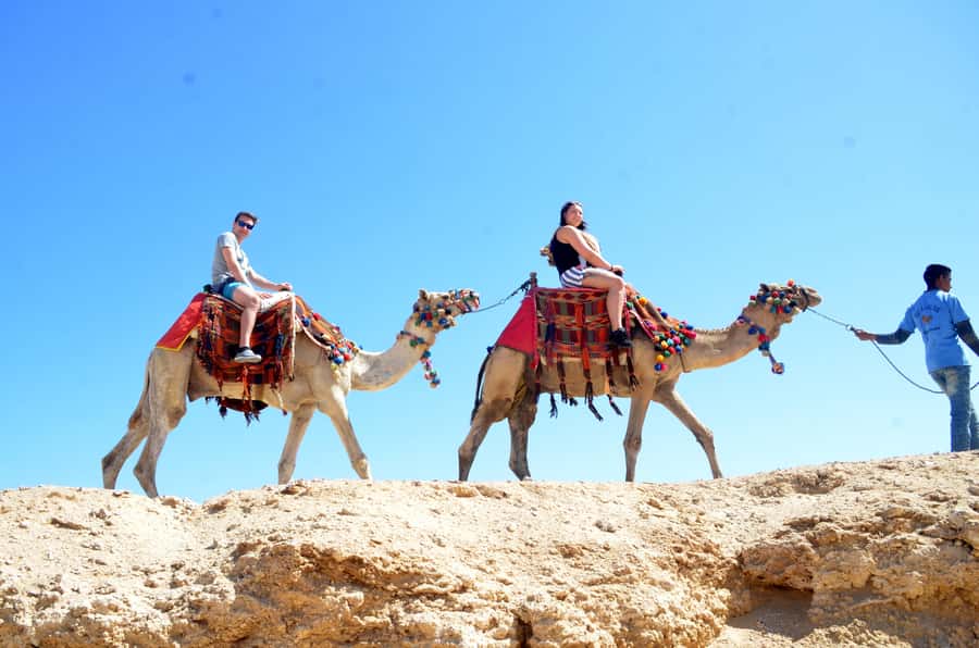 Hurghada: Sea & Desert Camel Ride w/Dinner, Show, Stargazing - Choosing Your Time Slot: Morning Calm vs Sunset Magic vs Sunrise Breakfast