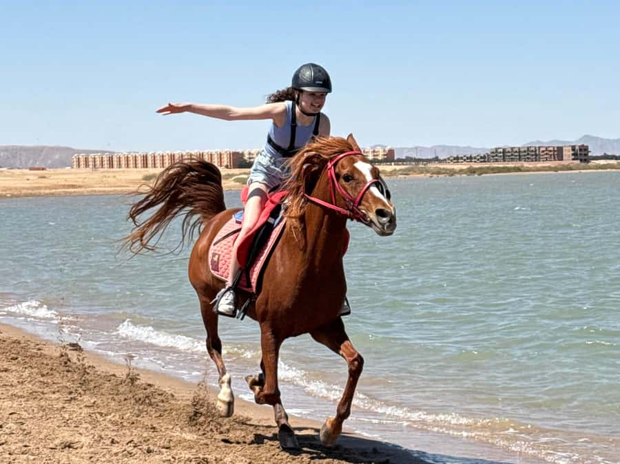 Hurghada: Sea & Desert Horse Riding tour/w Swimming&Transfer - Key highlights before you go
