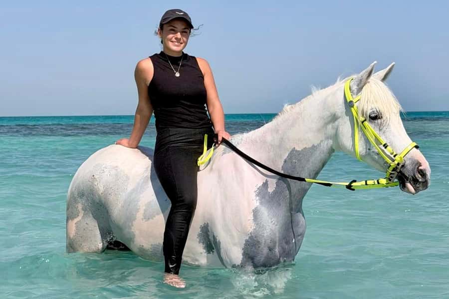 Hurghada: Sea & Desert Horse Riding tour/w Swimming&Transfer - Transfers and real-world logistics for Hurghada bases