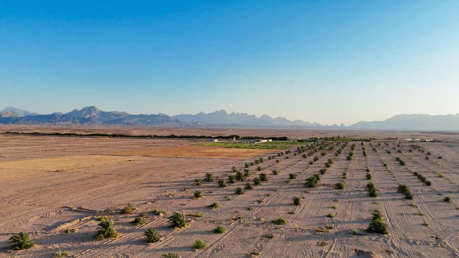Hurghada: Star Stargazing Desert Adventure by Jeep & Dinner - What to pack so the night doesn’t steal your fun