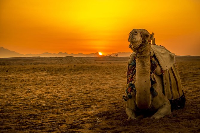 Hurghada: Star Watching Desert Adventure by Jeep with Dinner - What Makes This Hurghada Star Tour Worth Your Evening