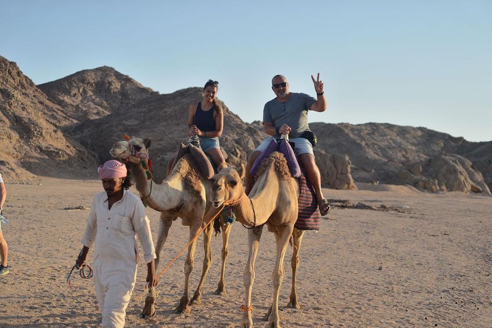Hurghada: Star Watching Desert Adventure by Jeep with Dinner - Price and Value Check: Why $36 Often Feels Fair