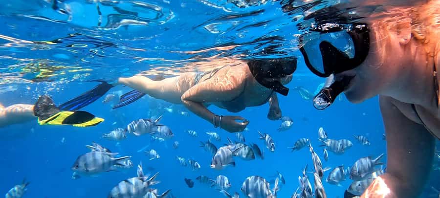 Hurghada: White Island Speedboat Tour, Snorkeling, & Lunch - Price and value: is $180 per group up to 2 fair?