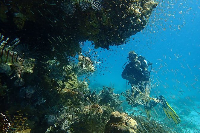 Intro Diving 2 Stops For Beginners with Pick-up and Lunch - Hurghada - What costs extra: park fees and the marine tax you should carry