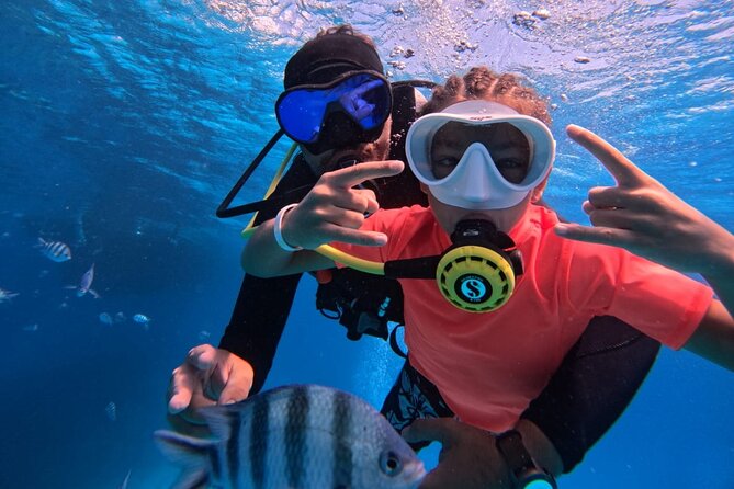 Intro Diving Beginner and Discover Red Sea Underwater - First-Time Scuba in the Red Sea: What This Day Really Gives You