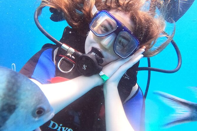 Intro Diving Beginner and Discover Red Sea Underwater - 8 Hours in Practice: Pickup, Paperwork, and Getting Your Gear