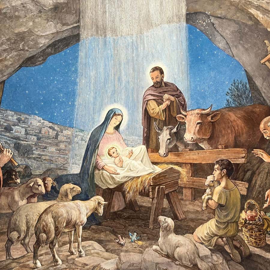 Jerusalem/Tel Aviv: Bethlehem, Jericho and Jordan River Tour - Price and value for about $80 per person: what you’re really paying for