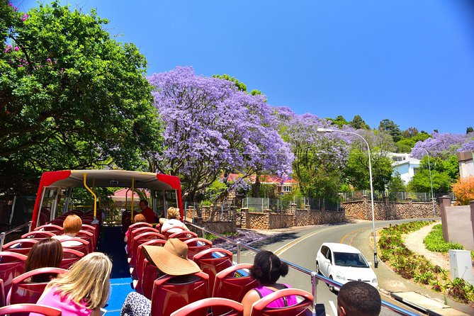 Johannesburg Hop-On Hop-Off City Tour with Soweto Option - Should you book this tour?