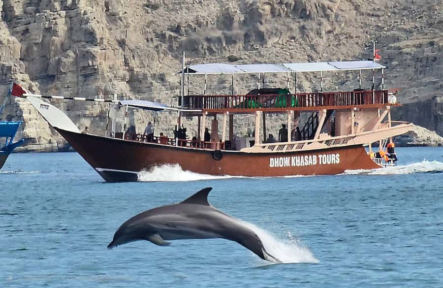 Khasab: Half-Day Dhow Cruise, Dolphin Watching, & Snorkeling - The 210 Minutes You’ll Spend on the Water (Stop by Stop)