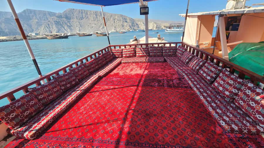 Khasab: Half-Day Dhow Cruise, Dolphin Watching, & Snorkeling - Dolphins: What You Can Control vs What You Can’t