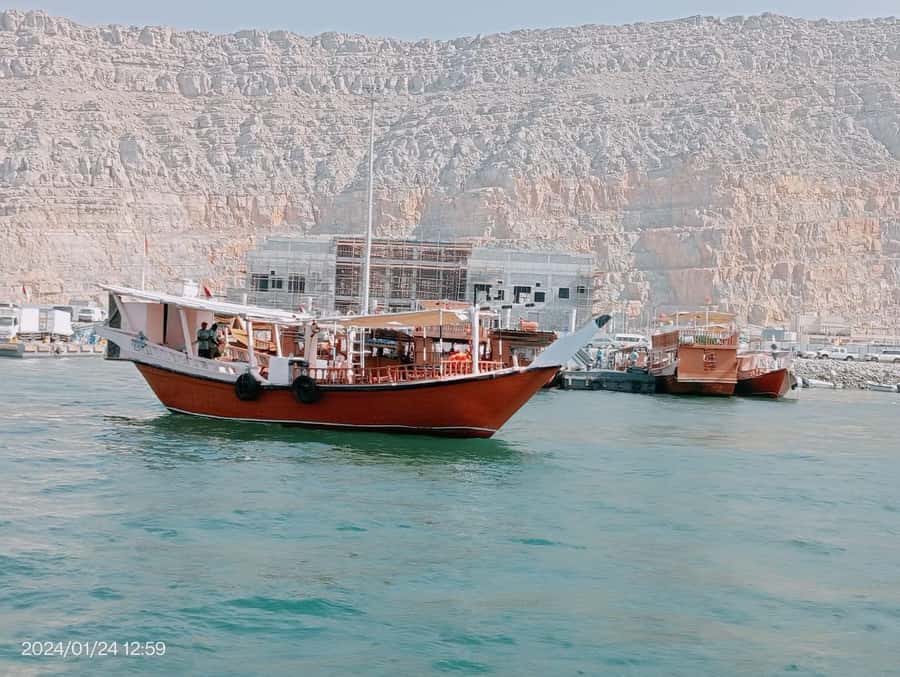 Khasab: Half-Day Dhow Cruise, Dolphin Watching, & Snorkeling - Who This Tour Is Best For (And Who Might Want to Skip)