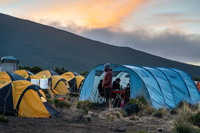 Kilimanjaro climb by Lemosho Route (7-day) - Shira 1 to Shira 2 to Lava Tower: Acclimatization That Doesn’t Waste Your Day
