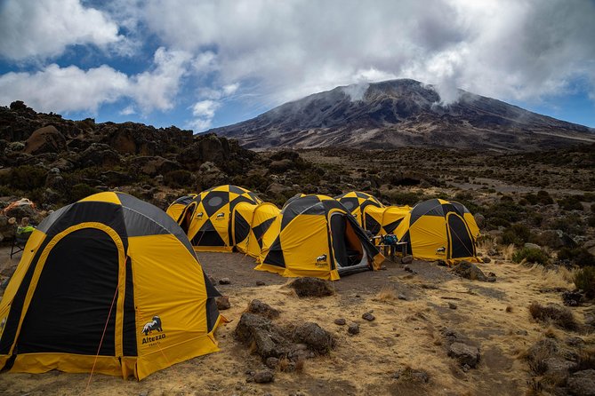 Kilimanjaro climb by Lemosho Route (7-day) - Summit Night to Millennium Camp: Uhuru Peak Is About Altitude, Not Technique