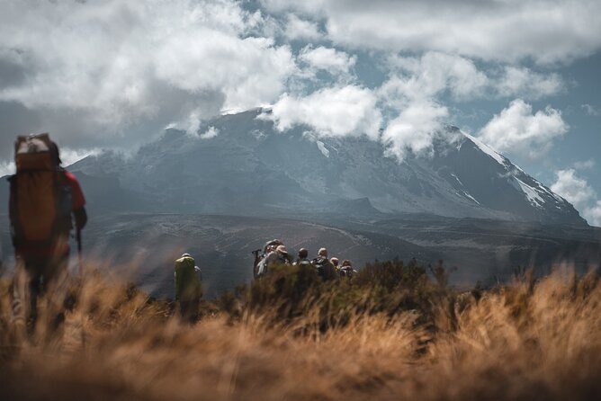 Kilimanjaro climb by Lemosho Route (7-day) - Mweka Gate Exit and the Rainforest Morning: Where Relief Turns Into Closure