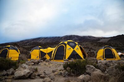 Kilimanjaro climb, Machame Route (7-day) - Shira Plateau to Lava Tower Acclimatization: Views Early, Climbing Smart Always